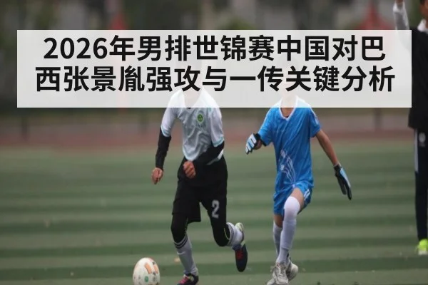 2026年男排世锦赛中国对巴西张景胤强攻与一传关键分析